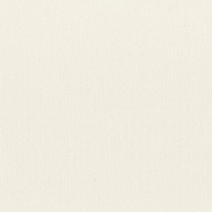 401 White