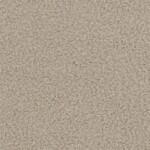 05 Beige Now or never +25,00 €
